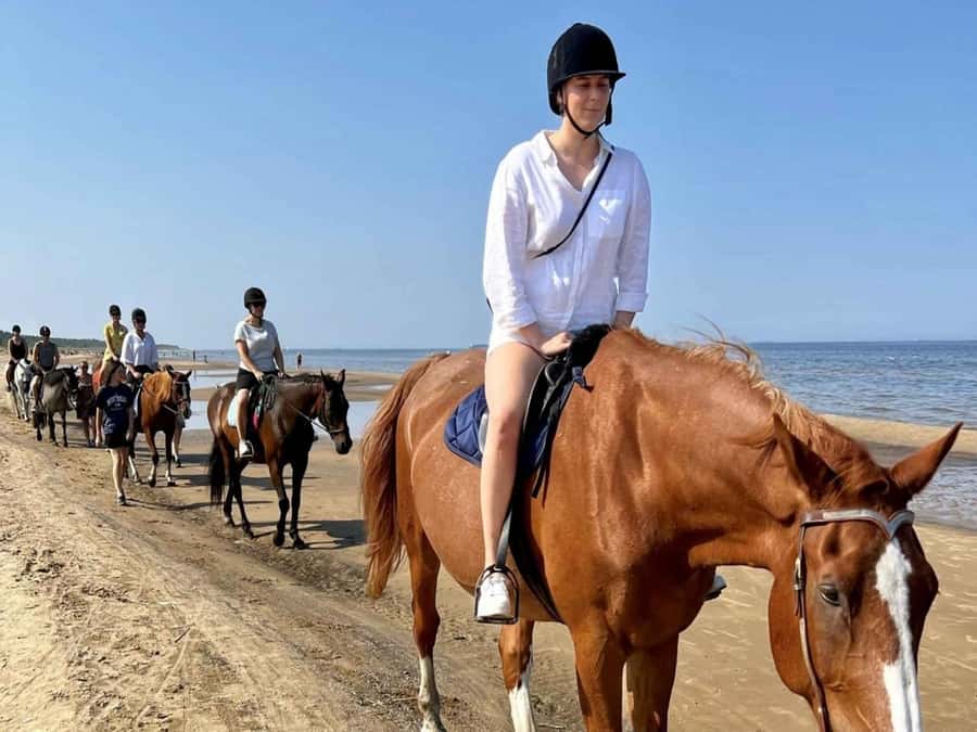 Hurghada: Desert and Sea Horseback Riding Tour with Transfer - The Red Sea Moment: Riding Into the Water