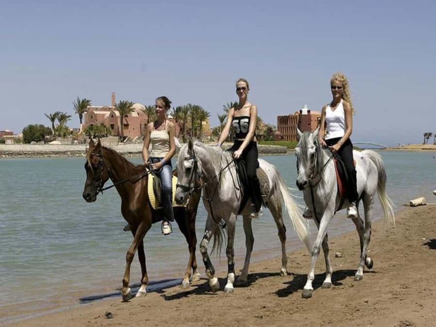 Hurghada: Desert and Sea Horseback Riding Tour with Transfer - What the Timing Feels Like in Real Life