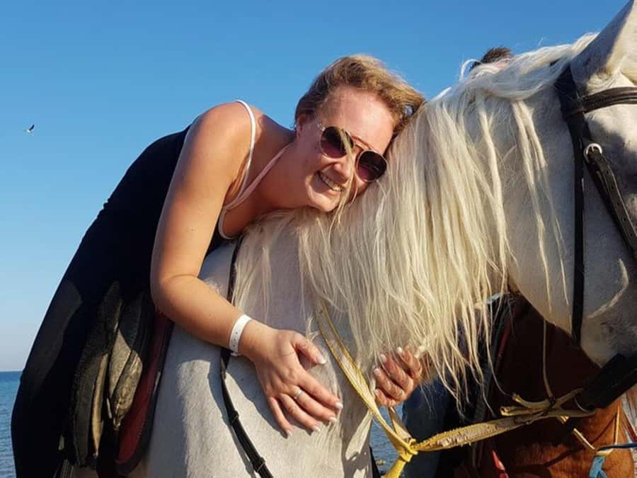 Hurghada: Desert and Sea Horseback Riding Tour with Transfer - Price and Value: Why It Feels Like a Deal at Around $50
