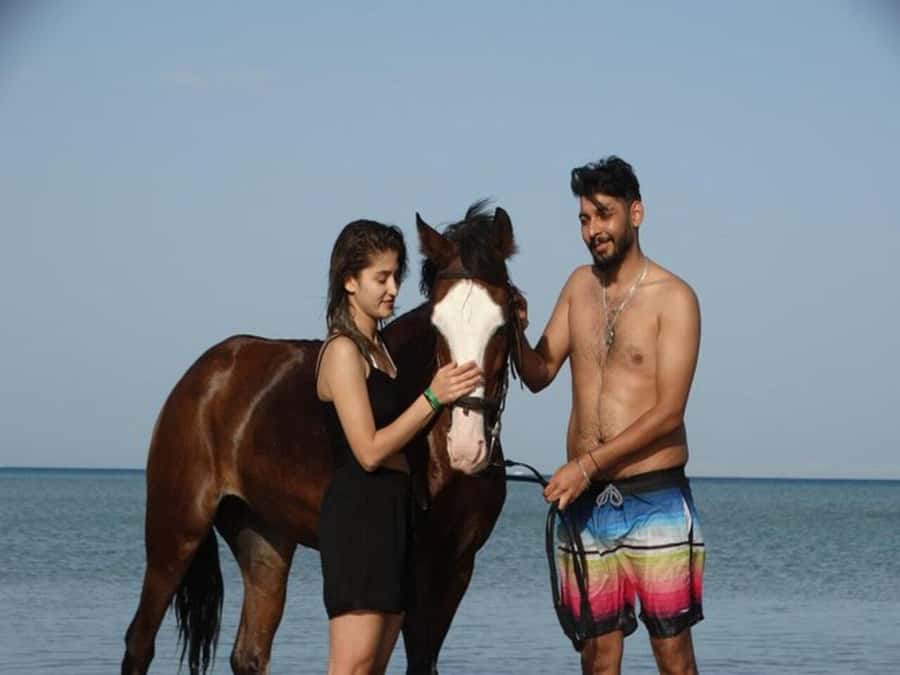 Hurghada: Desert and Sea Horseback Riding Tour with Transfer - Who This Tour Suits Best (And Who Might Be Unsure)