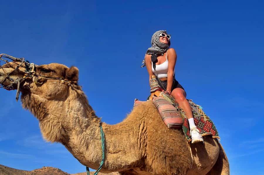 Hurghada: Desert Quad, Bedouin Village, and Camel Ride Tour - Bedouin village: tea, camel time, and the reality of “short stops”