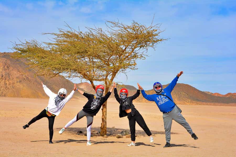 Hurghada: Desert Quad, Bedouin Village, and Camel Ride Tour - When should you book? My quick decision guide