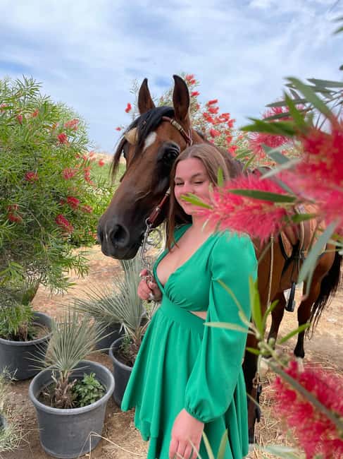 Hurghada: Desert & Sea Horse Riding with + 360° Photos - The ride structure: two hours on an Arabian horse, in guided stations
