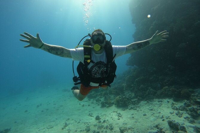 Hurghada Diving Adventure one Day with two Dives Boat Trip - Key highlights worth clocking