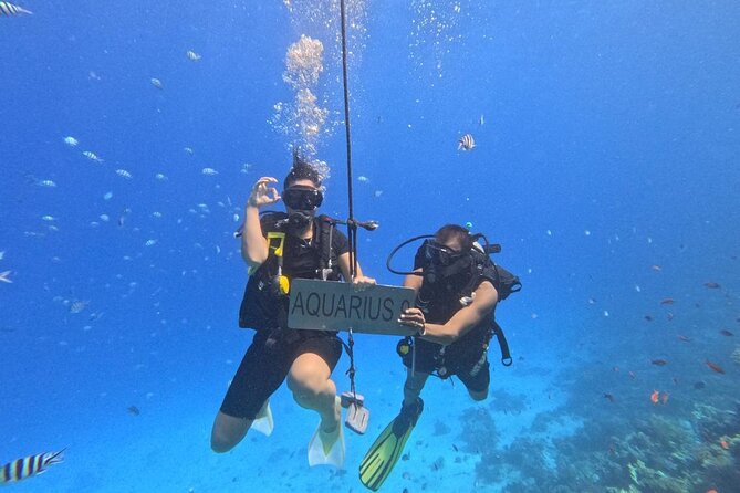 Hurghada Diving Adventure one Day with two Dives Boat Trip - Lunch and Drinks on Board Keep the Day Realistic