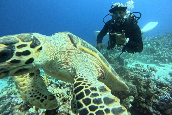 Hurghada Diving Adventure one Day with two Dives Boat Trip - Safety, Experience, and Why the Guide Matters