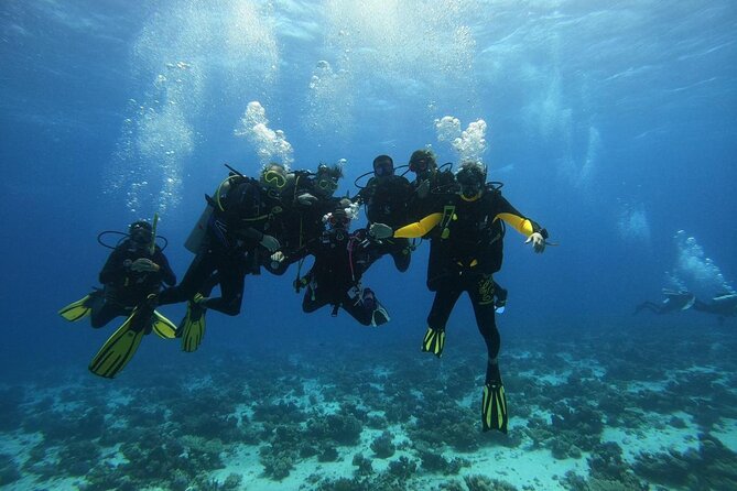 Hurghada Diving Adventure one Day with two Dives Boat Trip - Weather and Timing: Plan for a Smooth Day, Not a Perfect Script