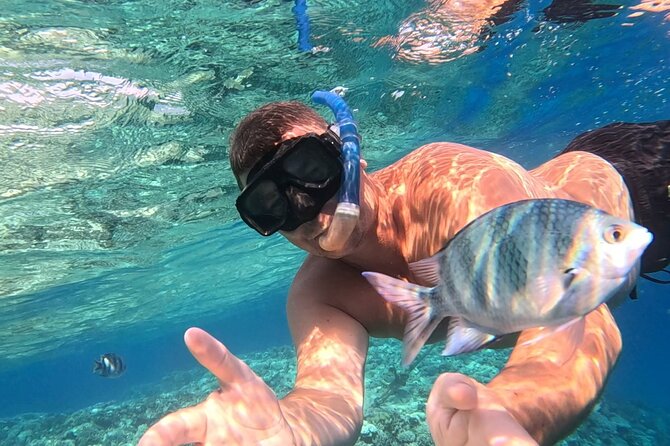 Hurghada Diving Adventure one Day with two Dives Boat Trip - What Happens Between Check-In and the First Underwater Session