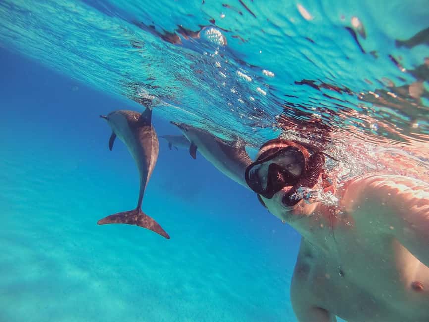 Hurghada: Dolphin Watching Boat Tour with Snorkeling & Lunch - Quick hits that matter on this Hurghada boat day