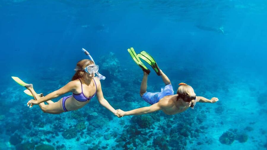 Hurghada: Dolphin Watching Boat Tour with Snorkeling & Lunch - Snorkeling over coral: two stops, guided support, and gear that helps