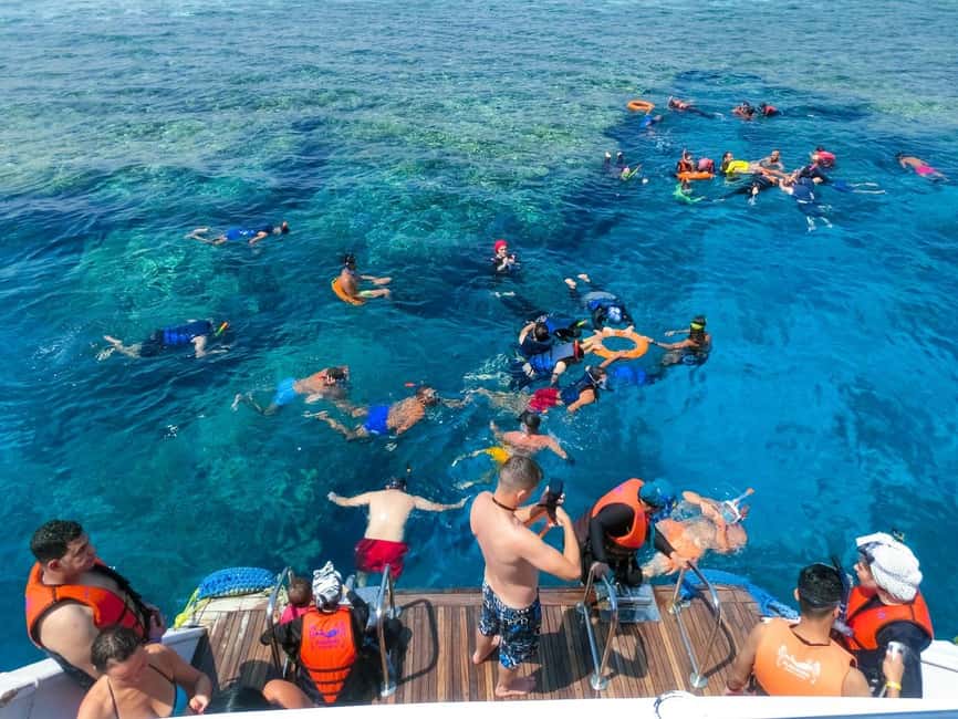Hurghada: Dolphin Watching Boat Tour with Snorkeling & Lunch - Lunch and drinks: included food that prevents a mid-day meltdown