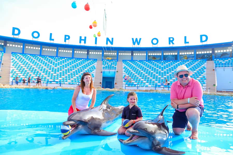 Hurghada: Dolphin World Show with Walruses and Pickup - Key Things to Know Before You Go