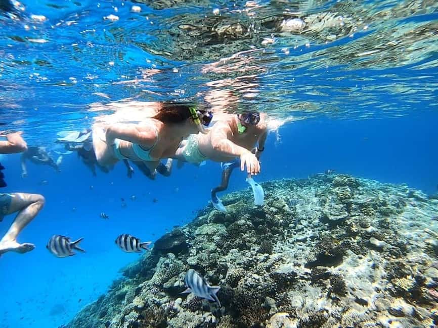 Hurghada: Eden Island Day Trip with Water Sports and Lunch - Snorkeling at Sabina Reef: What You Will See and What to Bring