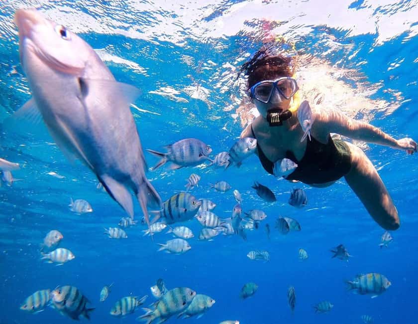 Hurghada:Eden Island Full-Day Trip with Water sports & Lunch - Key things to know before you go