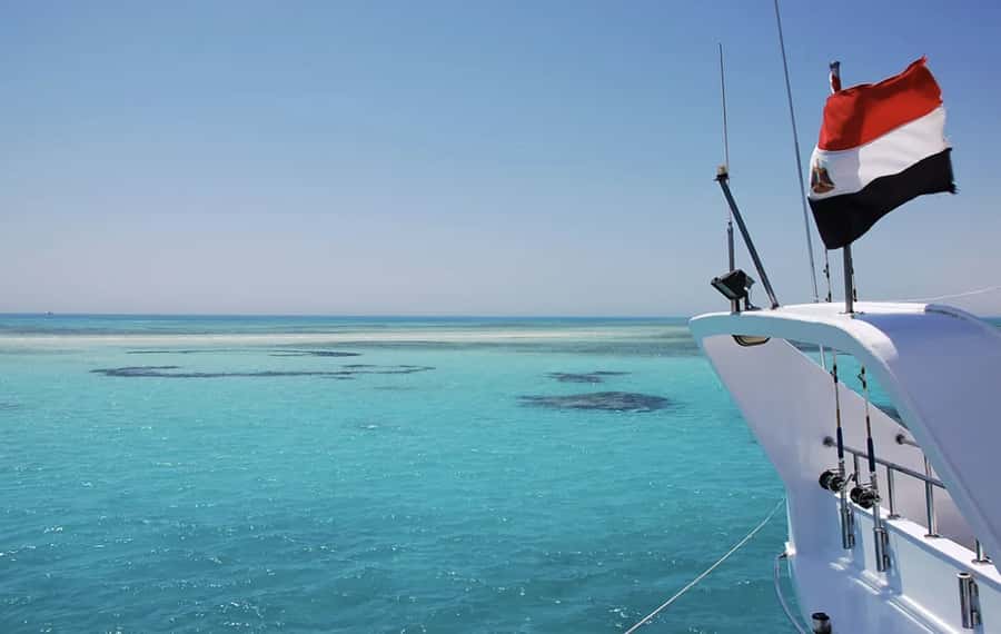Hurghada: Elegance Yacht Cruise To Orange bay Island W lunch - Dolphins: the moment the day can go from good to special