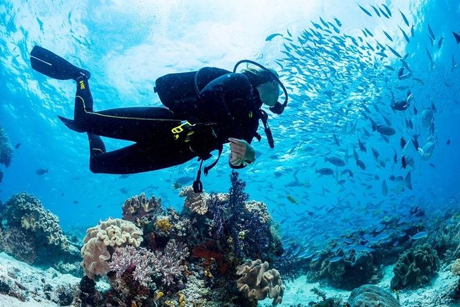 Hurghada: Full-Day Diving Tour with Lunch & Two Dive Sites - How long is the day, and what your body needs to be ready for