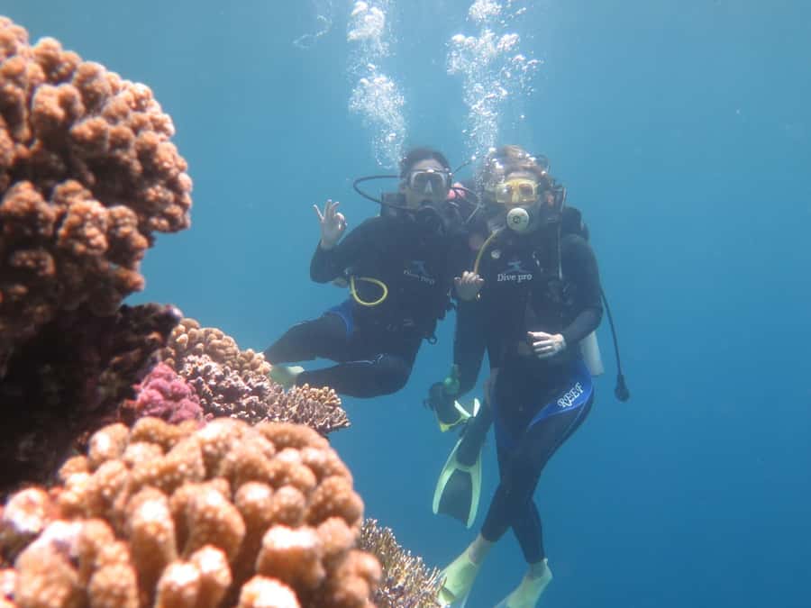 Hurghada: Full-Day Scuba Diving Tour with 2 Sites and Lunch - Key Highlights You’ll Feel During the Day