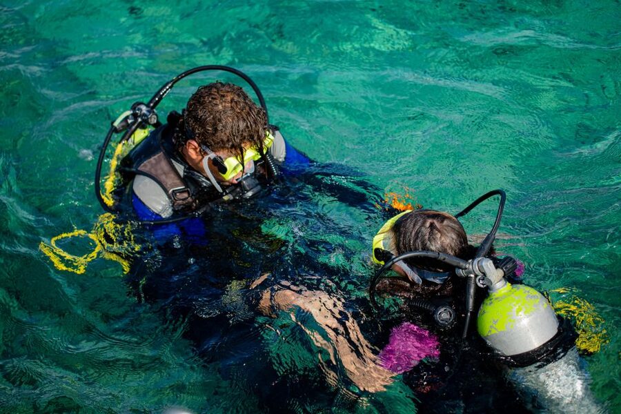 Hurghada: Full-Day Scuba Diving Tour with 2 Sites and Lunch - Price and Value: Why $70 Can Make Sense