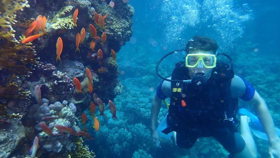 Hurghada: Full-Day Scuba Diving Tour with 2 Sites and Lunch - Underwater Stop 1: How to Get More from Your First Session