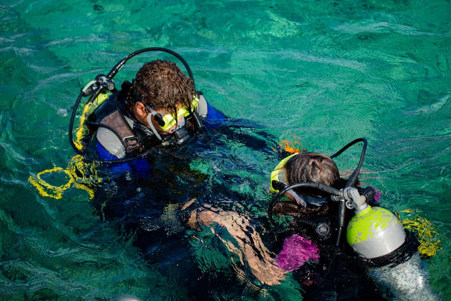 Hurghada: Full-Day Scuba Diving Tour with 2 Sites and Lunch - Underwater Stop 2: Two Sites Means More Variety