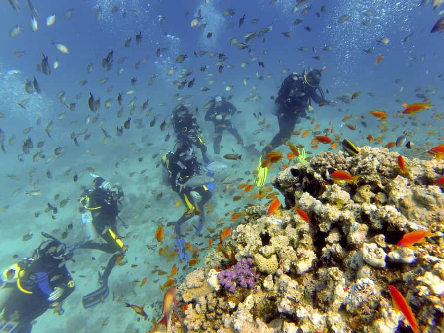 Hurghada: Full-Day Scuba Diving Tour with 2 Sites and Lunch - Depth Limit and Safety Feel: Up to 10 Meters Changes the Whole Mood