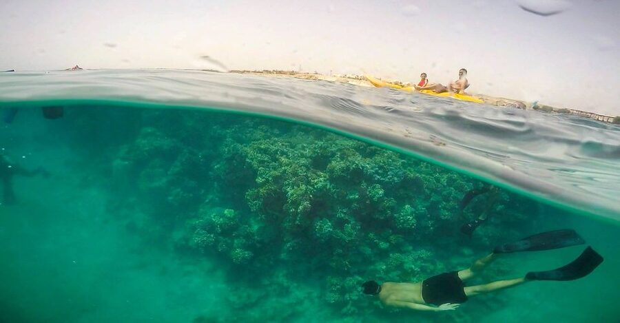 Hurghada: Full-Day Snorkeling Tour in Sharm El Naga w/Lunch - Key highlights at a glance