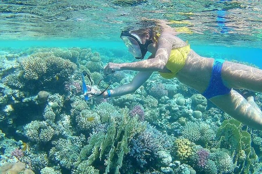 Hurghada: Full-Day Snorkeling Tour in Sharm El Naga w/Lunch - Who should book this Sharm El Naga day trip