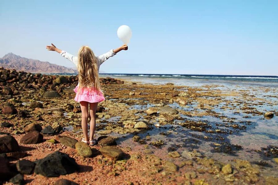 Hurghada: Full-Day Snorkeling Tour in Sharm El Naga w/Lunch - On-the-water time: shore snorkeling, pier entry, and how to plan for comfort