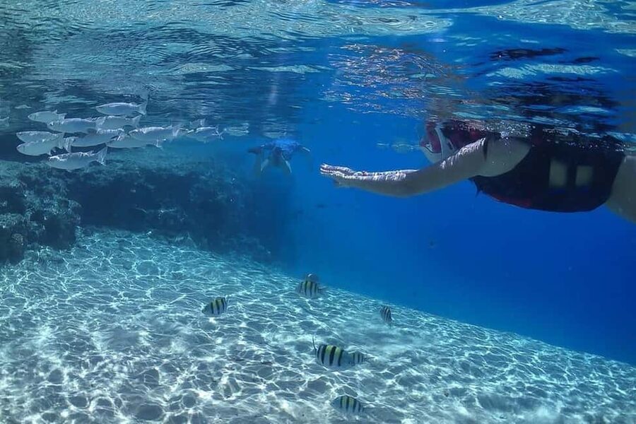 Hurghada: Full-Day Snorkeling Tour in Sharm El Naga w/Lunch - Beach time and lunch: the part that turns snorkeling into a real day out