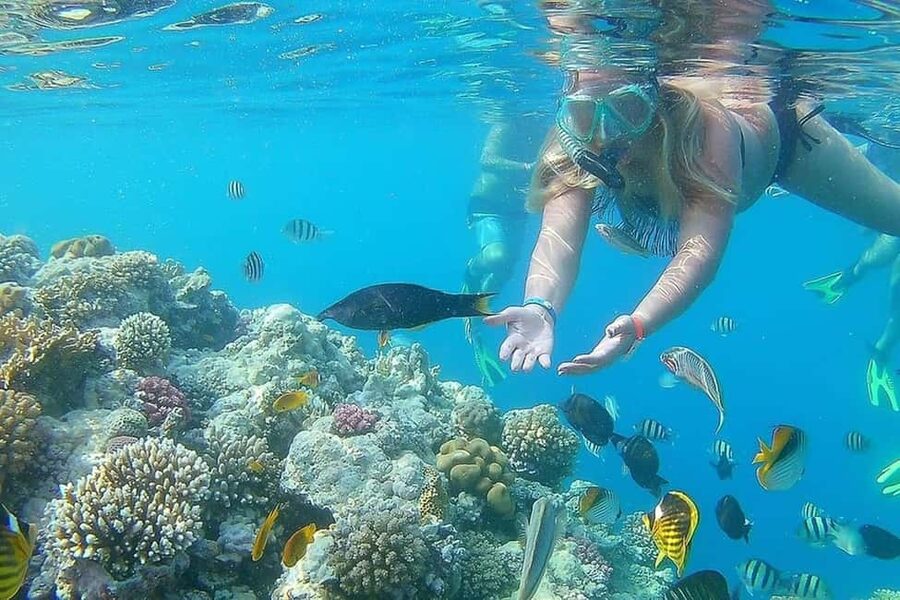 Hurghada: Full-Day Snorkeling Tour in Sharm El Naga w/Lunch - Value for $75: what you’re really buying
