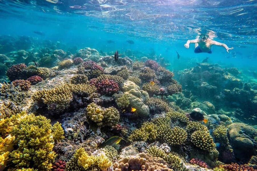 Hurghada: Full-Day Snorkeling Tour in Sharm El Naga w/Lunch - Tour provider, organization, and the human side