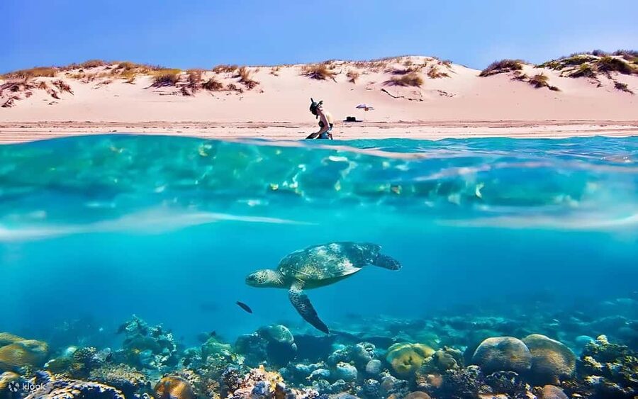 Hurghada: Giftun Island with breakfast, lunch & Water Sports - Hurghada to Orange Bay and Giftun Island: why this day trip works