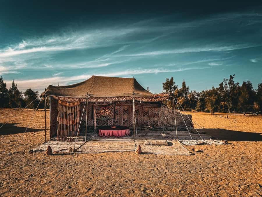 Hurghada: Hiking , dinner & stargazing - Stargazing with a Telescope and Real Astronomy Talk