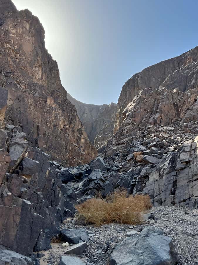 Hurghada: Hiking , dinner & stargazing - Who This Hurghada Tour Fits Best, and Who Should Skip It