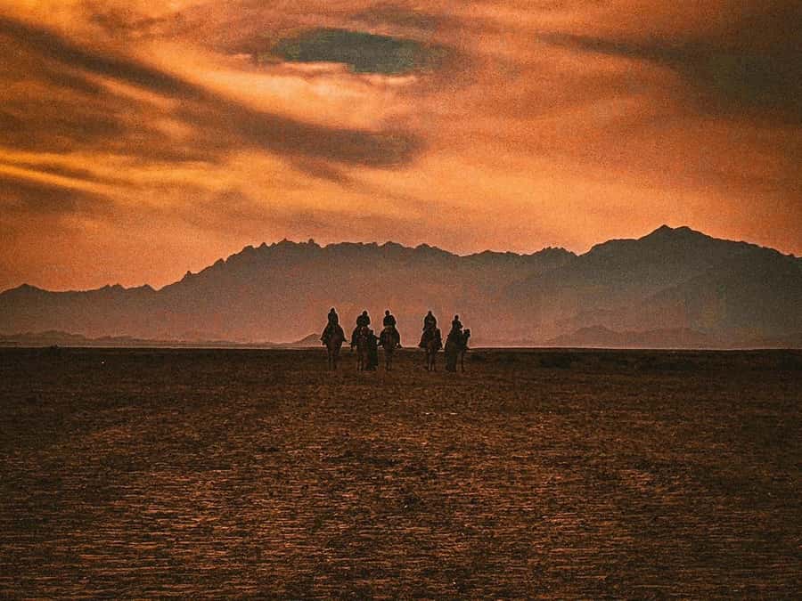 Hurghada: Hiking , dinner & stargazing - Practical Tips: What to Wear, What to Bring, and What the Night Feels Like