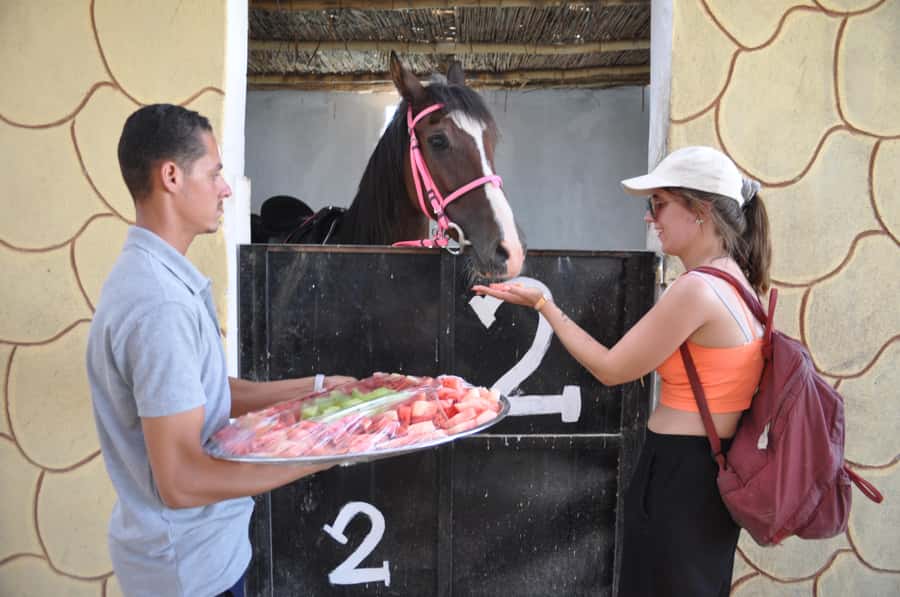 Hurghada: Horse Ride, BBQ Dinner, and Stargazing - Dinner In The Oasis: BBQ You Can Expect To Fill You Up