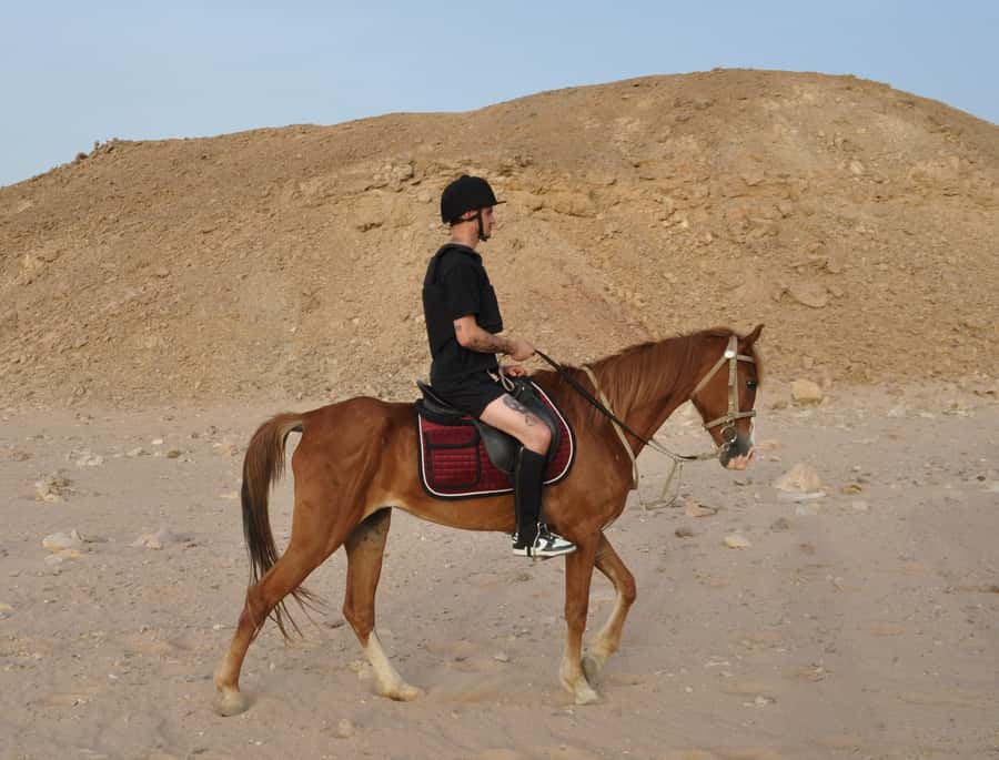 Hurghada: Horse Ride, BBQ Dinner, and Stargazing - Languages, Guides, And The Human Side Of The Desert