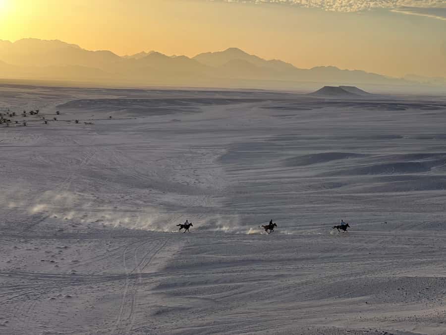 Hurghada: Horse Ride, BBQ Dinner, and Stargazing - The Off-Road Jeep Safari: Prepare for Fast Desert Driving