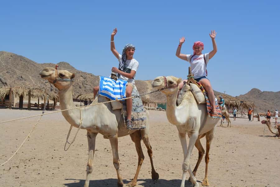 Hurghada: Jeep Safari with Camel Ride, Dinner and Show - Bedouin Herbal Pharmacy: Natural Remedies, Simple Logic
