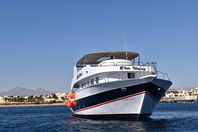 Hurghada: Luxury Cruise to Orange Bay & Hula Hula Island. - Who this is best for, and who should think twice