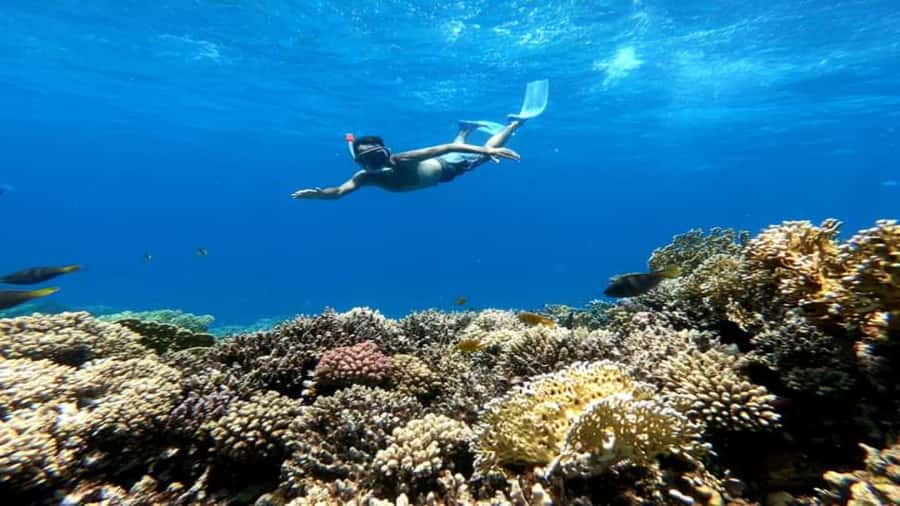 Hurghada: Luxury Cruise Trip to Orange Bay with Lunch - Second Snorkeling Window at Jazīrat Abū Rimāthī