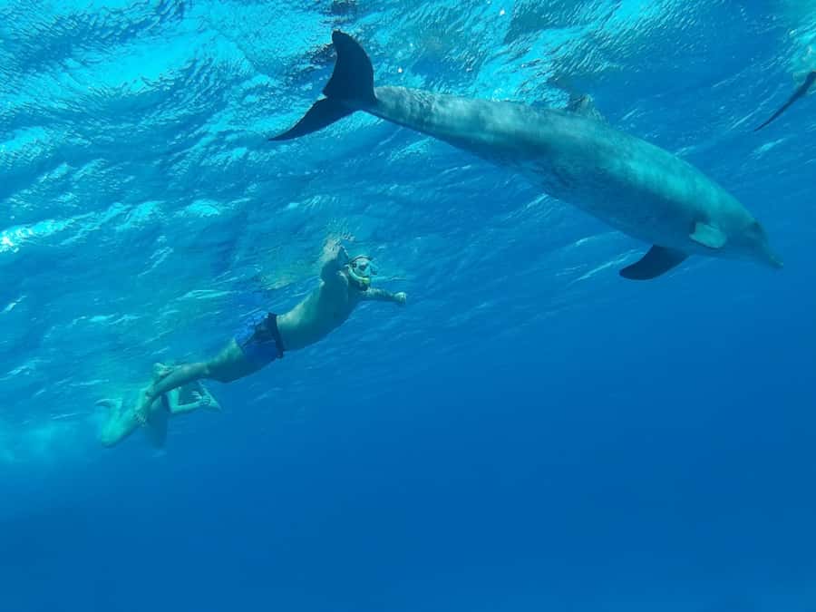 Hurghada: Luxury Cruise Trip to Orange Bay with Lunch - Water Sports and Free Time: Banana Boat and Reset Time