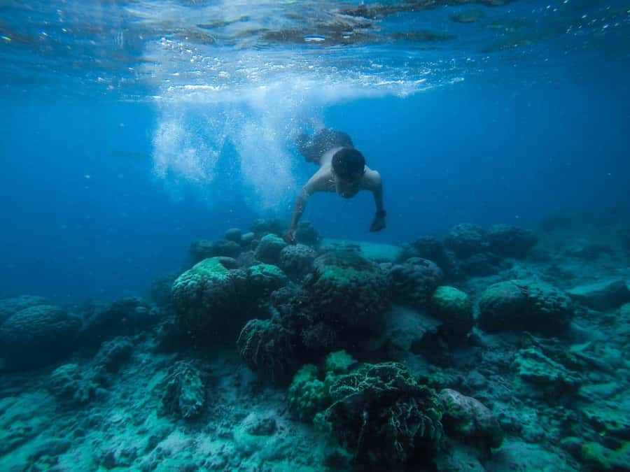 Hurghada:Luxury Diving & Snorkeling inc/Island/Lunch/Massage - Orange Bay Island: Beach Time for Photos, Swimming, and a Softer Pace