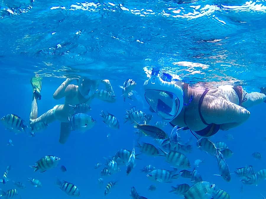 Hurghada: Luxury Giftun island w/snorkeling/lunch & Massage - Key things that make this trip worth your time