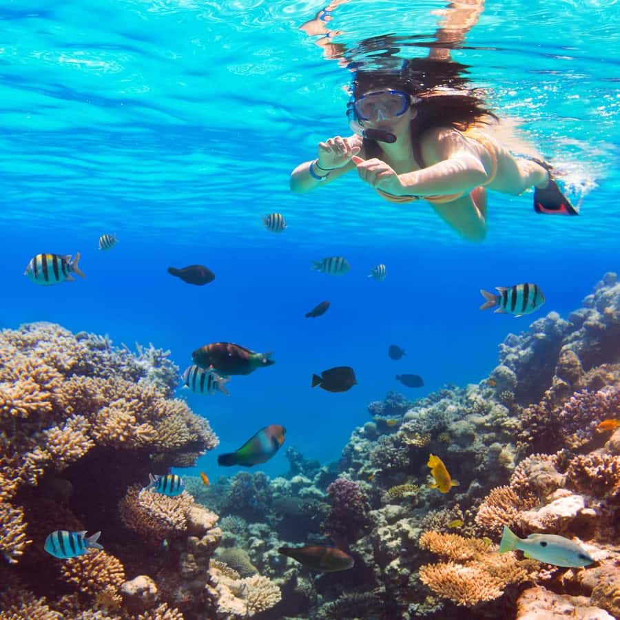 Hurghada: Luxury Giftun island w/snorkeling/lunch & Massage - Price and value: why $41 can work if you want the bundle