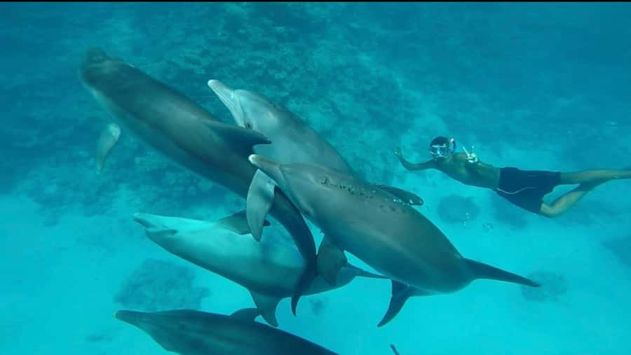 Hurghada: Luxury Yacht Trip with Personal Crew and Chef - Sunset cruise and island-time vibes: when the boat becomes the best view