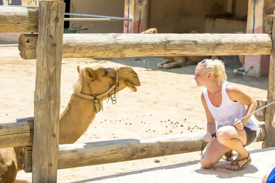 Hurghada: Mega Jeep safari, ATV & Bedouin vibe, and Dinner - ATV and buggy time: the fun part, plus the safety reality check