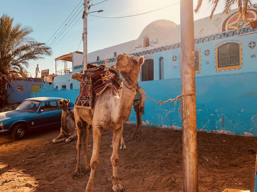 Hurghada: Morning Quad Bike Tour, Camel Ride and Transfer - Safety Briefing and the Short Driving Test