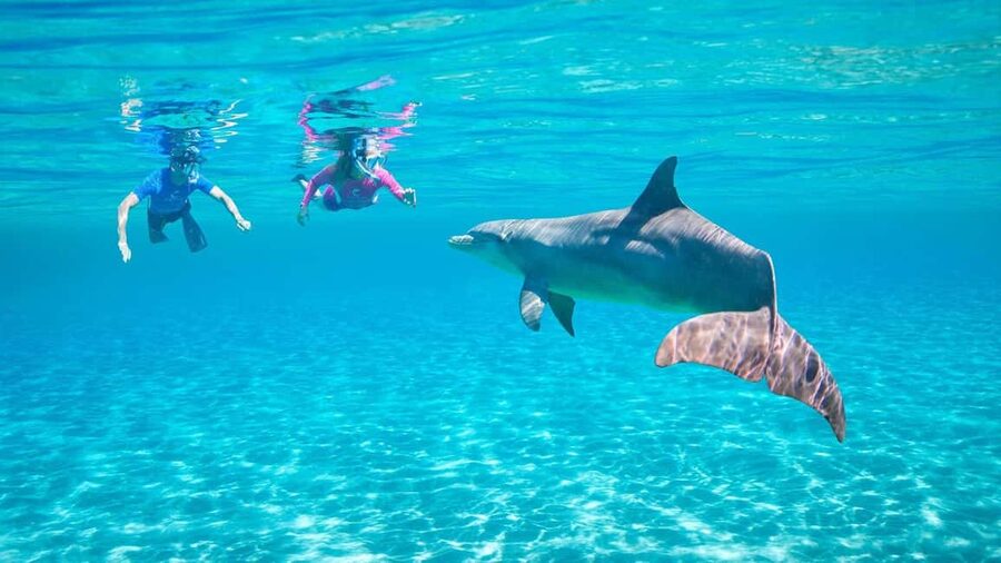 Hurghada or Makadi: Discover the Magic of Dolphin House - Key things that make Dolphin House worth your day