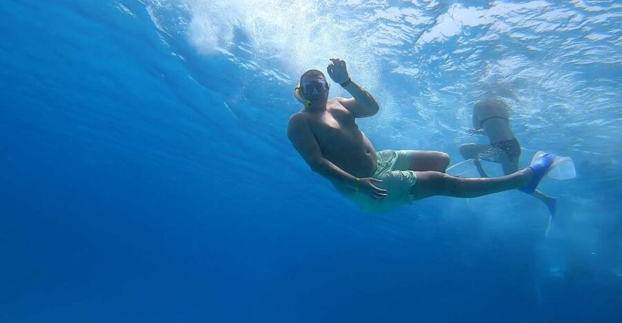 Hurghada or Makadi: Discover the Magic of Dolphin House - Swimming with dolphins: the rules that decide if you go in